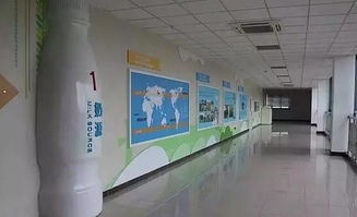 春意盎然，活力蘇州 從草莓采摘到千人徒步，一周熱門活動指南（2.27-3.5）